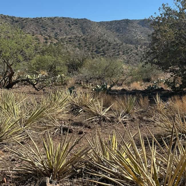Chrysotile, AZ: Off-Road Adventure Gleason Flat - Salt River - Evaluating the Value: Is It Worth the Price?