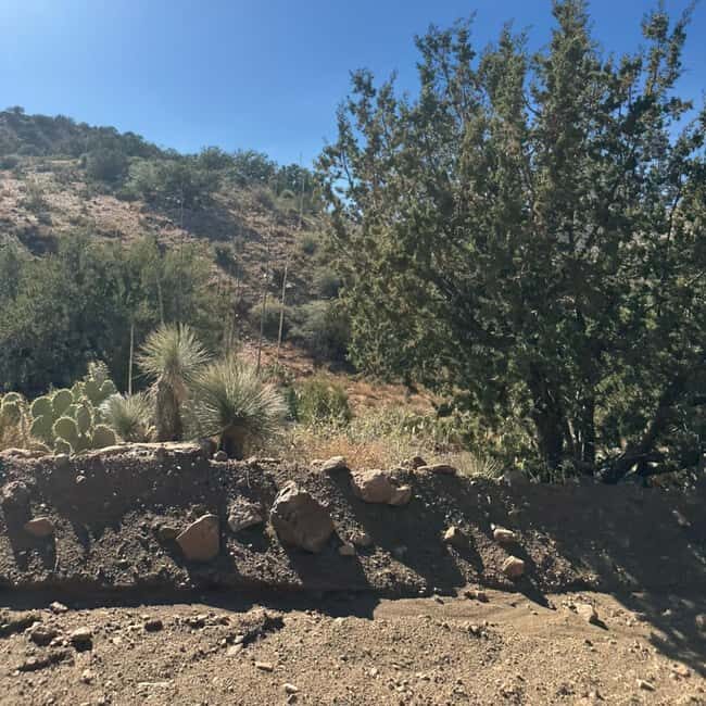 Chrysotile, AZ: Off-Road Adventure Gleason Flat - Salt River - Who Will Love This Tour?