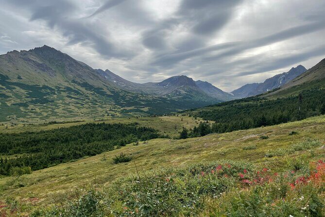 Chugach State Park Nature Walk - A Detailed Look at the Chugach State Park Nature Walk