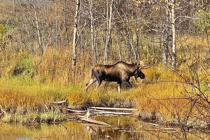 Chugach State Park Nature Walk - FAQ