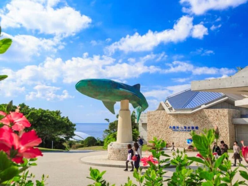 Churaumi Aquarium, Cape Manzamo, American Village - What Reviewers Say: Authentic Feedback