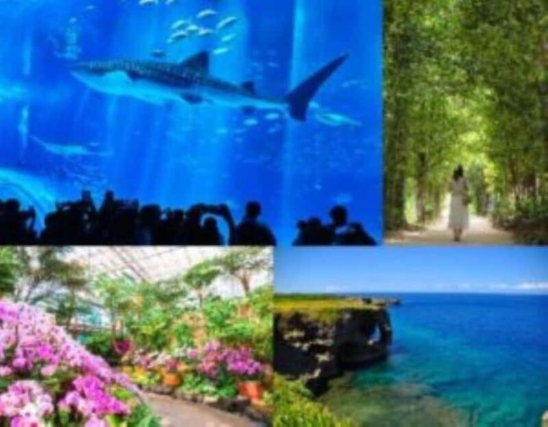 Churaumi Aquarium, Cape Manzamo, American Village - The Sum Up: Is This Tour for You?