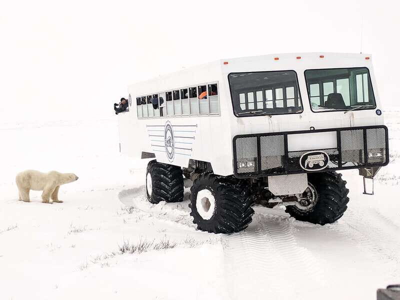 Churchill: Exclusive Tundra Buggy Day Trip - What to Expect from the Churchill Tundra Buggy Tours