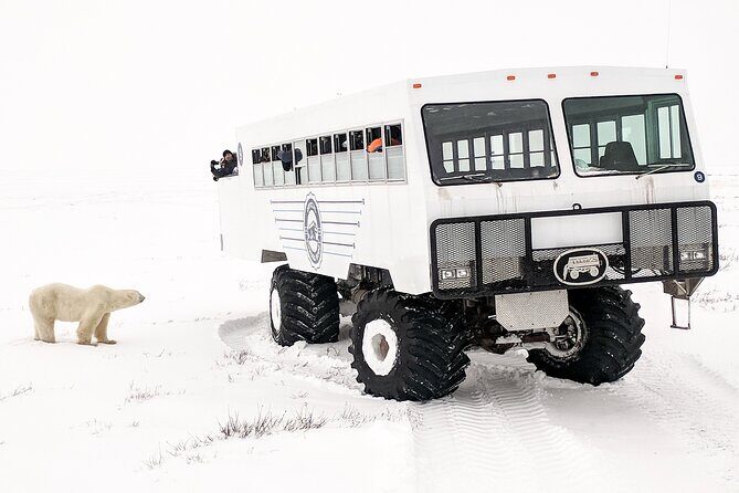 Churchill Polar Bear Experience 5-Night Classic Tour - FAQs
