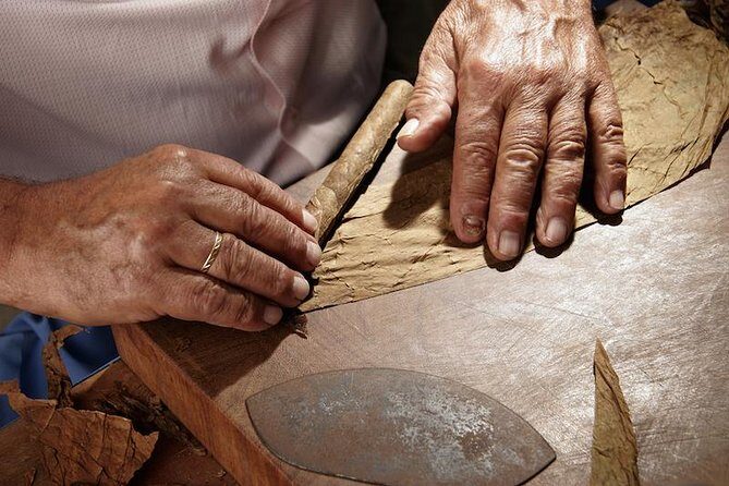 Cigar Rolling Lesson in Nassau - Key Points