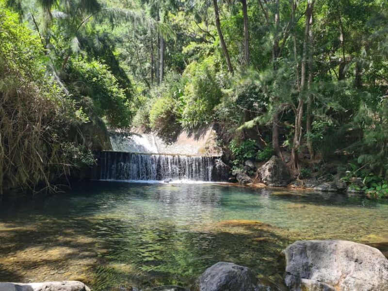 Cilaos : Private tour with guide 8 Person - Introduction