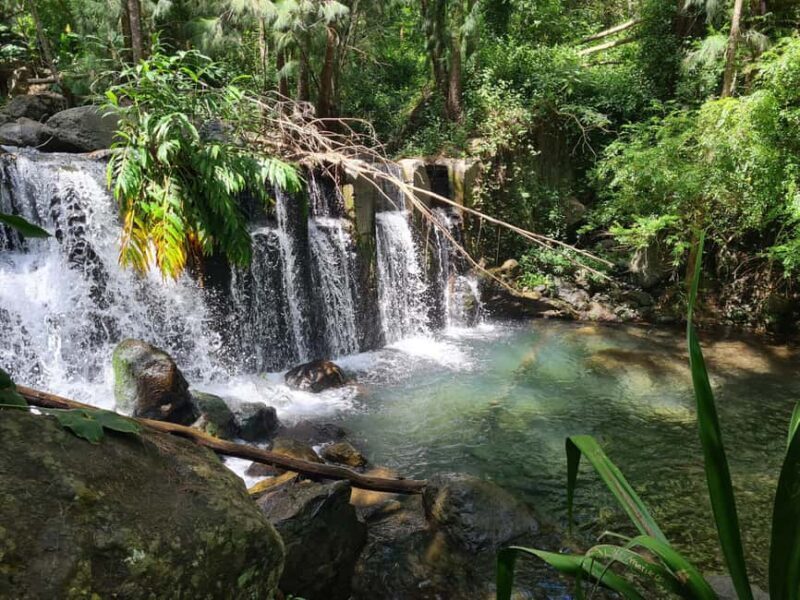 Cilaos : Private tour with guide 8 Person - Key Points