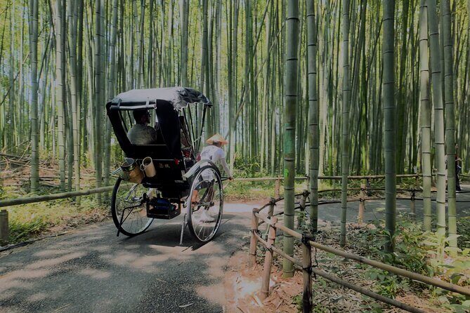 Cinematic Portrait Film Experience in Kyoto with Local Filmmaker - The Experience: What to Expect on This Cinematic Tour