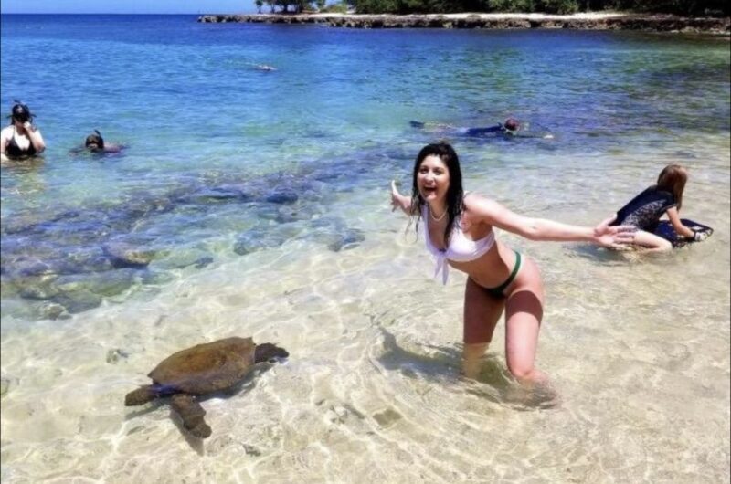 Circle Island: Swim with Turtles and Explore Paradise Oahu - Why This Tour Delivers