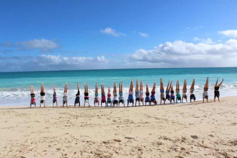 Circle Island: Swim with Turtles and Explore Paradise Oahu - Who Should Consider This Tour?