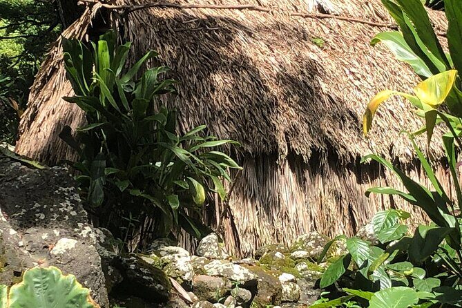 Circle Island tours - swim with turtles,Private & Small Group Tours - The Experience Through Travelers’ Eyes
