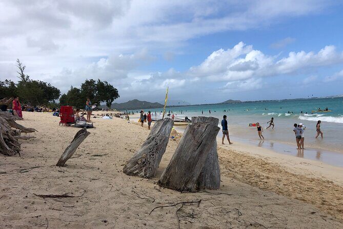 Circle Island tours - swim with turtles,Private & Small Group Tours - Practical Considerations