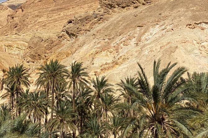 Circuit the south of Tunisia in 2 days Sahara Explorer - Introduction: Is the Sahara Explorer Tour Right for You?