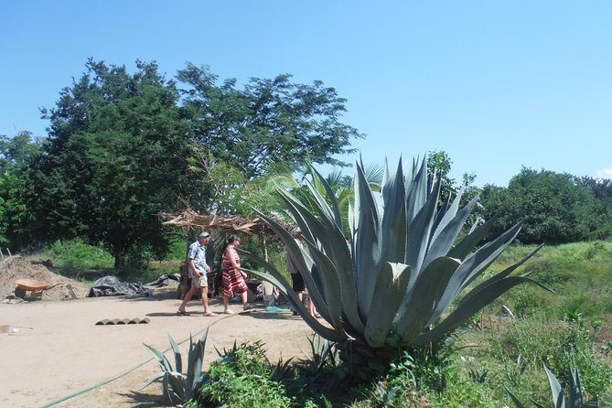 City and Country Side Tour with Luis - A Closer Look at What You Can Expect