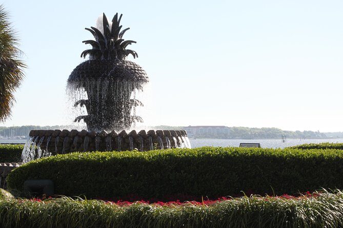 City Bus Tour with Charleston Museum Admission - Honest Review Based on Traveler Feedback