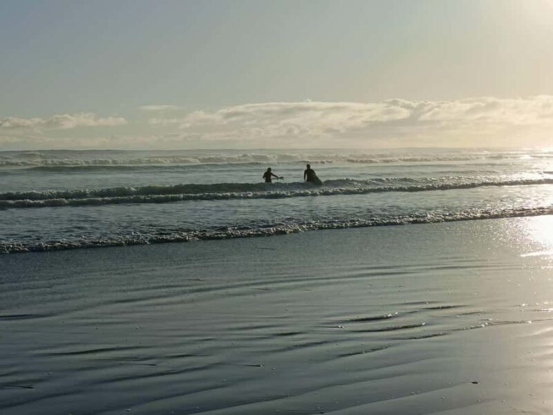 City & Coast & Country A Relaxed Day Tour from Auckland - Key Points