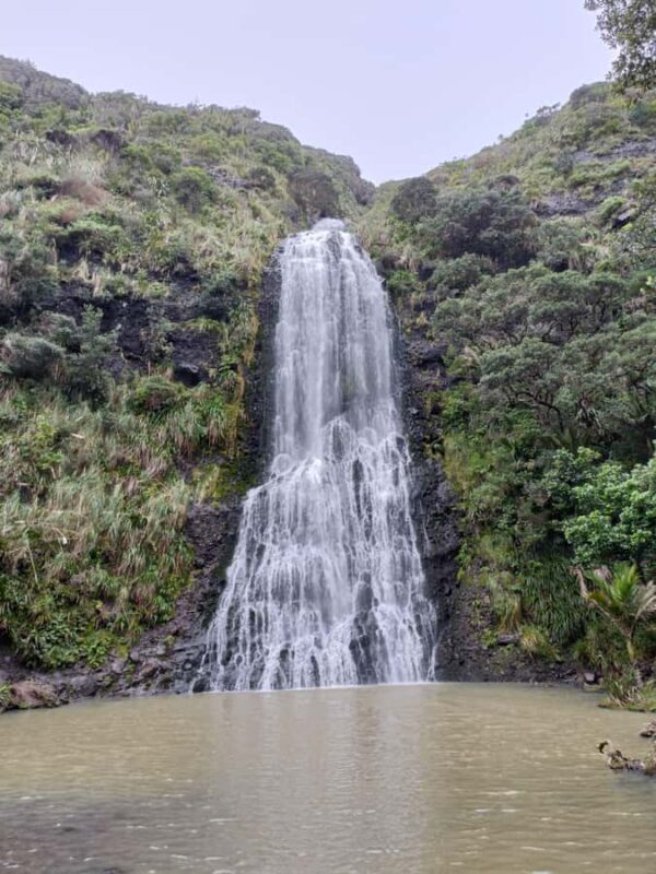 City & Coast & Country A Relaxed Day Tour from Auckland - Why This Tour Works Well for Travelers