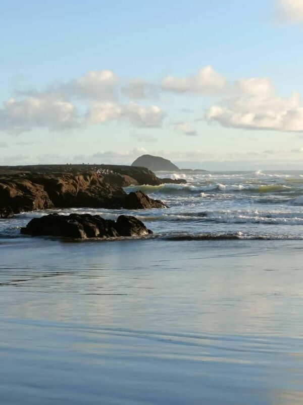 City & Coast & Country A Relaxed Day Tour from Auckland - Final Thoughts: Is It Worth It?