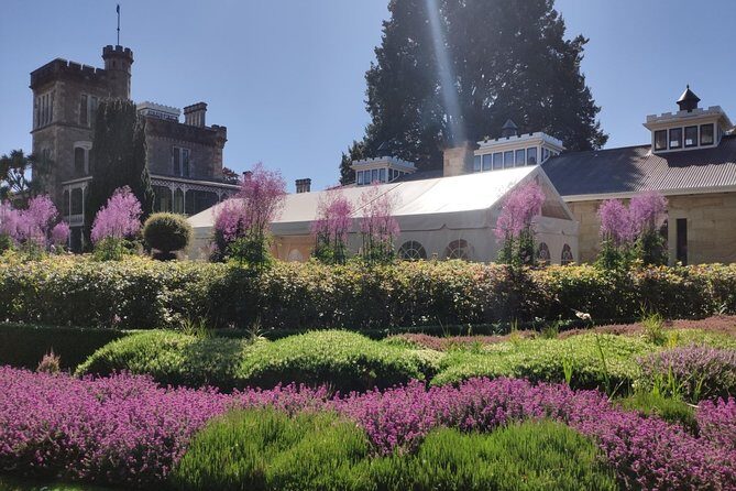 City Highlights, Larnach Castle & Peninsula Views - Key Points