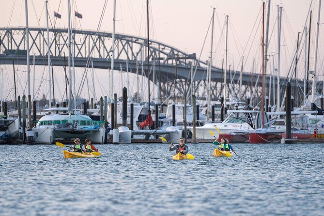 City Scenes Kayak Tour in Auckland - Explore the Waterfront - Key Points