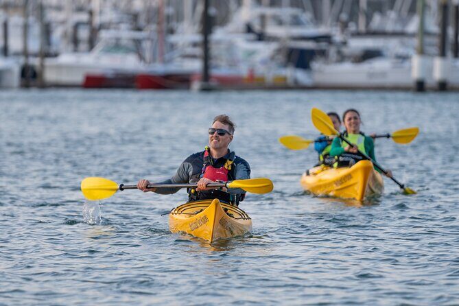 City Scenes Kayak Tour in Auckland - Explore the Waterfront - The Experience in Detail