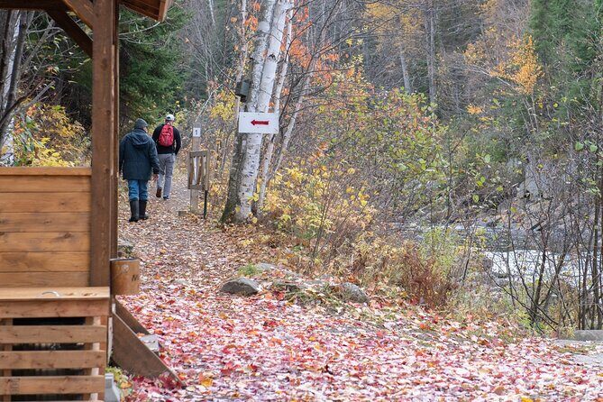 City tour and hiking to the Canyon and Waterfall in the Park - Practical Tips for Making the Most of Your Tour
