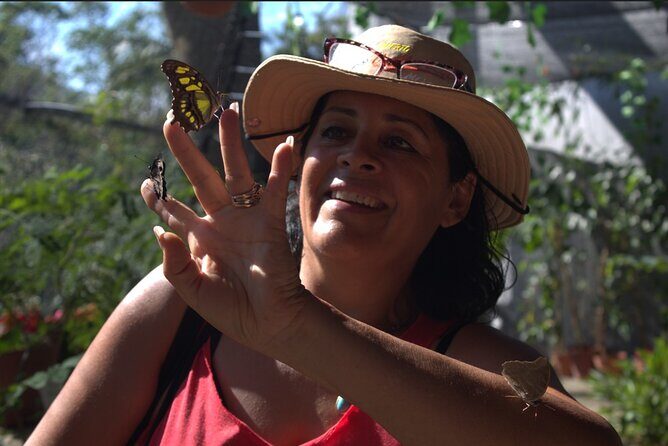 City tour express; butterfly, tequila, and beach an ecological day - A Deep Dive into the Tour Experience