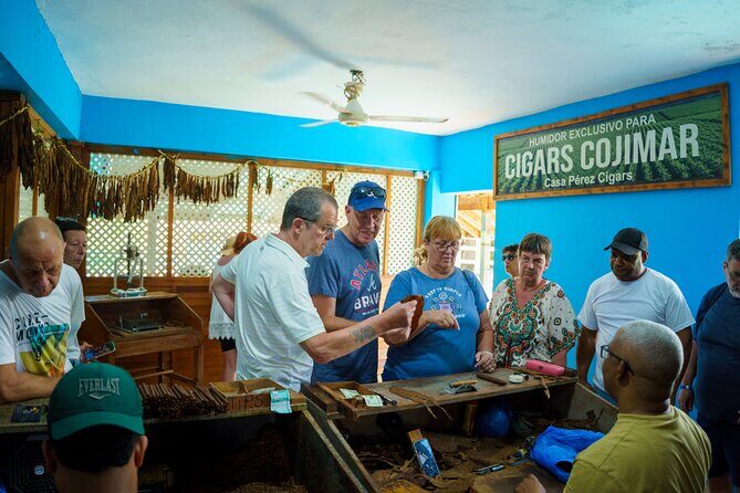 City Tour & Half-Day Safari Experiences - FAQ