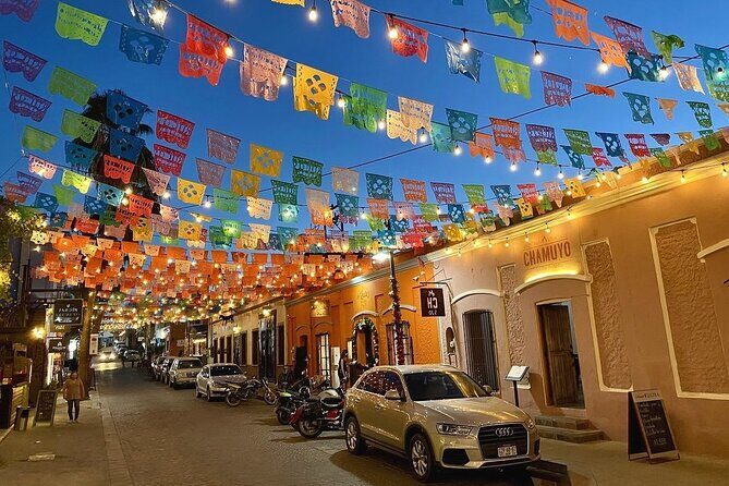 City Tour in San Jose del Cabo & Cabo San Lucas - Practical Details and What to Expect