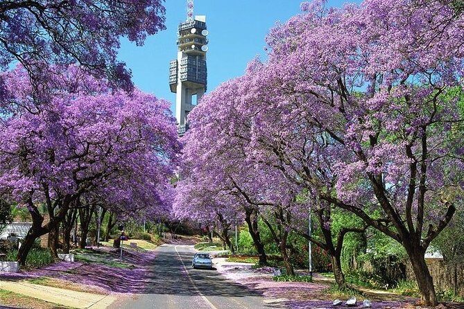City Tour of Pretoria - Final Word