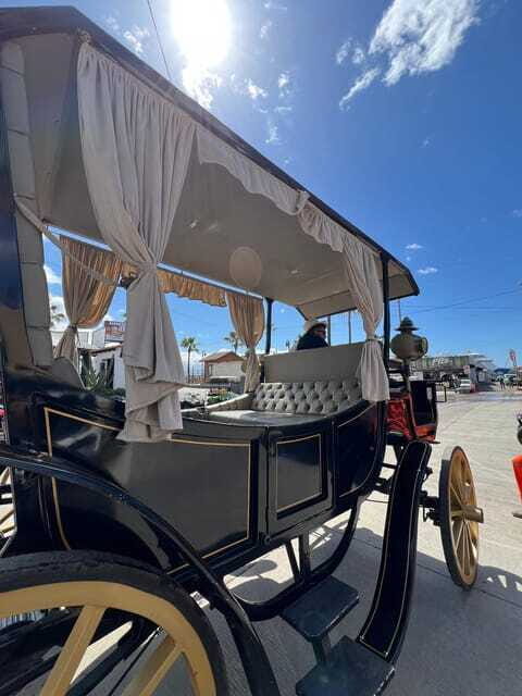 City tour on electric horse wagon. - The Sum Up