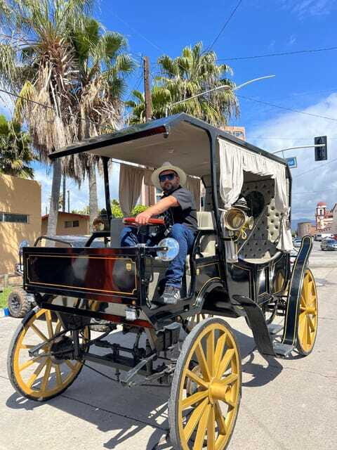 City tour on electric horse wagon. - FAQs