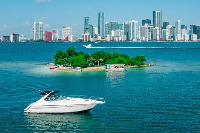 City Vibes & Bay Rides - Key Points