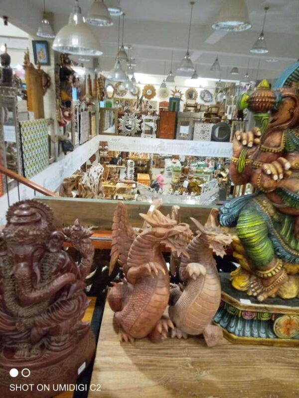 Cityscape Safari: Five Days of Discovery - Evaluating the Value