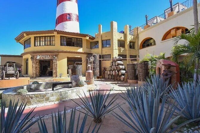 CityTour to San Jose, Cabo San Lucas and Arch Tour in Clearboat - Key Points