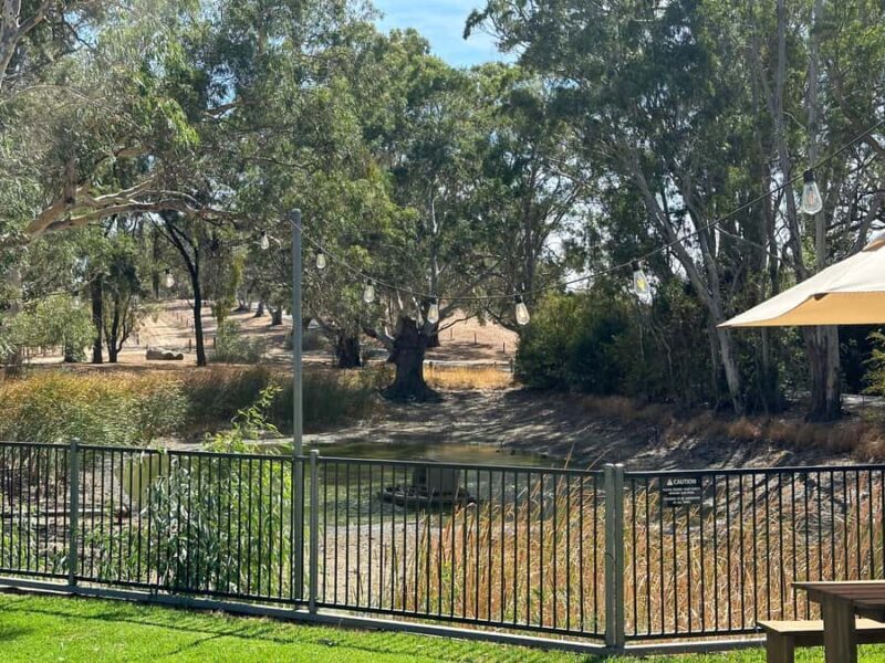 Clare Valley Uncorked: Full-Day Wine Adventure - Clare Valley Uncorked: Full-Day Wine Adventure