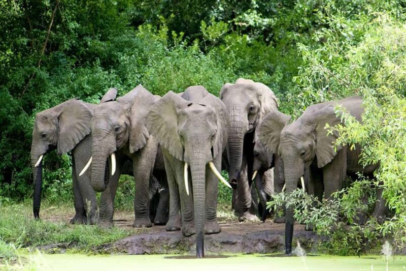 Classic 2-Day Lake Manyara and Ngorongoro Crater Safari - Exploring the Itinerary in Detail