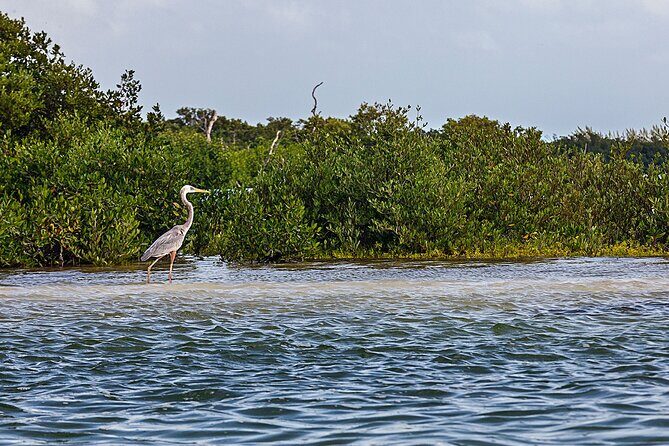 Classic 3-island tour on a shared boat-Entrance Yalahau included- - The Itinerary in Detail