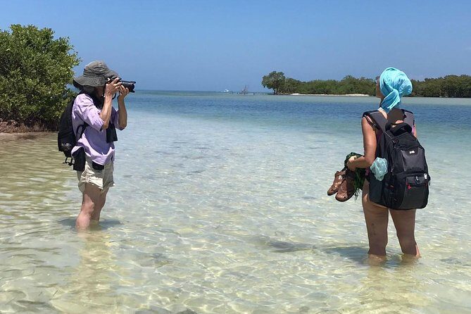 Classic 3-island tour on a shared boat-Entrance Yalahau included- - Who Will Love This Tour?
