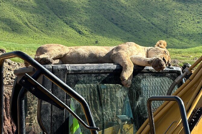 Classic 4-Day Tanzania Safari: Tarangire, Serengeti & Ngorongoro - Key Points