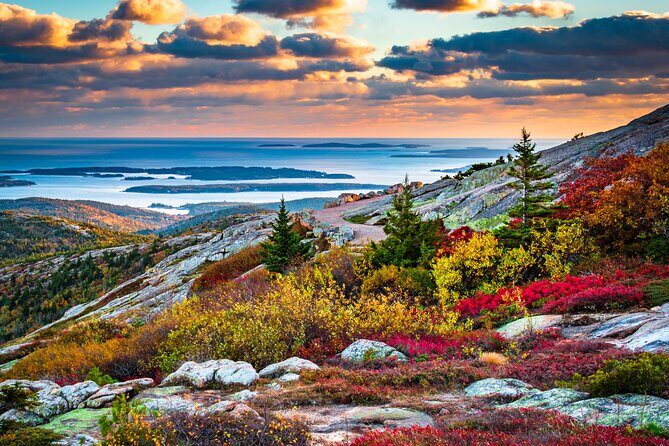 Classic Acadia Private Tour: Cadillac Mountain & Thunder Hole - Authentic Experiences and Genuine Value