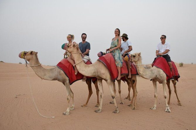 Classic Dubai Desert Safari with BBQ Dinner and Camp activities - Who Will Enjoy This Tour?