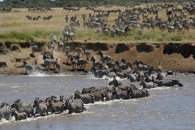 Classic Luxury 4 X 4 Masai Mara Safari - Final Thoughts