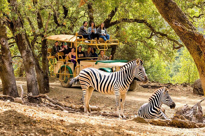 Classic Safari Adventure at Safari West - Final Thoughts