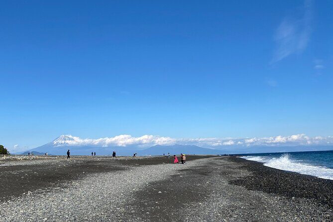 Classic Shizuoka with Mt.Fuji Viewing 1 Day Private Tour - Final Thoughts