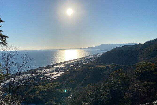 Classic Shizuoka with Mt.Fuji Viewing 1 Day Private Tour - FAQ