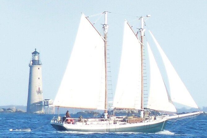 Classic Tall Ship Sightseeing Cruise of Boston Harbor - The Sum Up