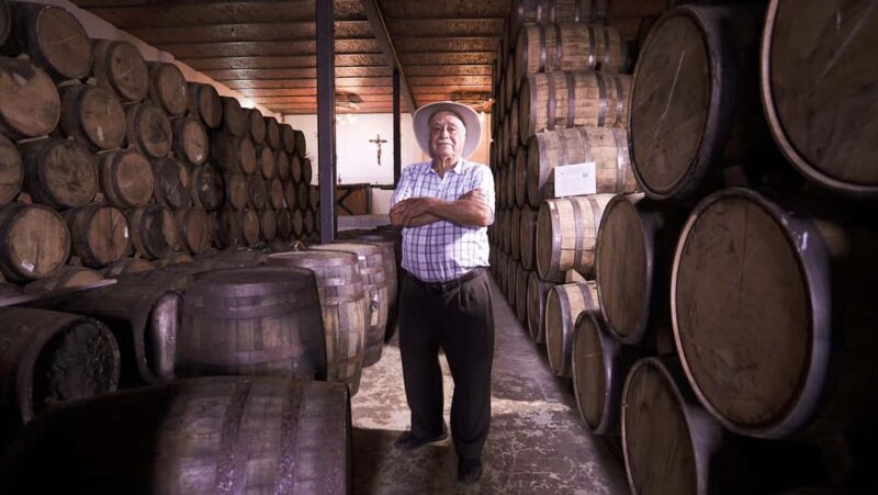 Classic Tequila Route Tour from Guadalajara and cantaritos el GÜERO!!! - Potential Drawbacks or Considerations