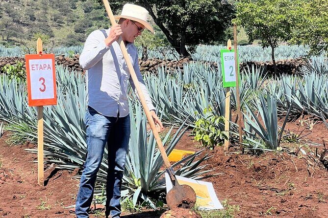 Classic Tequila Tour and CANTARITOS EL GÜERO - Our Honest Take on the Value