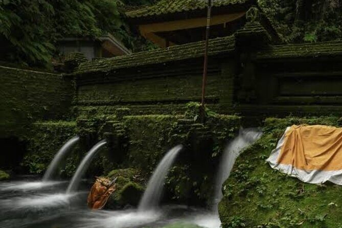 Cleansing and Healing Spiritual tour at Mengening Temple - Key Points